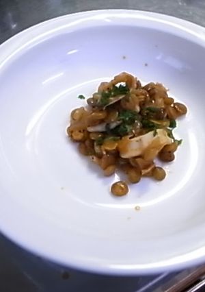 レンティルとヤリイカの煮物-レシピのメイン写真