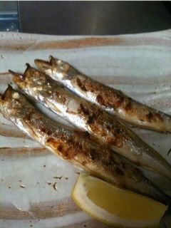 本ししゃもの焼き方-レシピのメイン写真