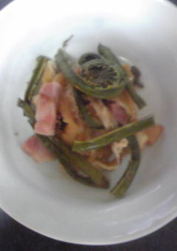 こごみとあげの鰹煮-レシピのメイン写真