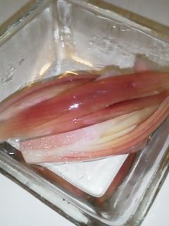 すし酢で簡単④ミョウガの甘酢漬け-レシピのメイン写真