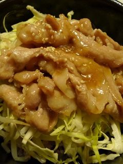 豚の生姜焼き☆丼ぶり-レシピのメイン写真