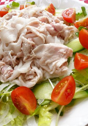 野菜たっぷり♪冷しゃぶサラダ-レシピのメイン写真