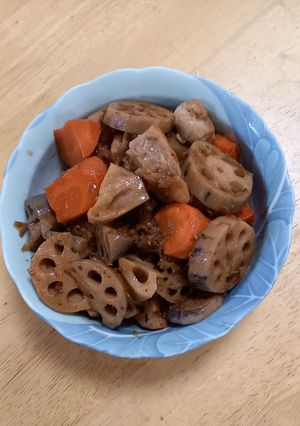 蓮根と鶏肉の煮物-レシピのメイン写真