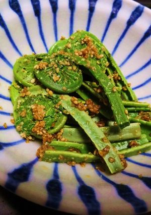 こごみのすり胡麻和え-レシピのメイン写真