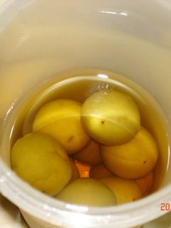 甘さ控えめ梅酒-レシピのメイン写真