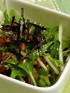 しゃきしゃき水菜の納豆和え-レシピのメイン写真