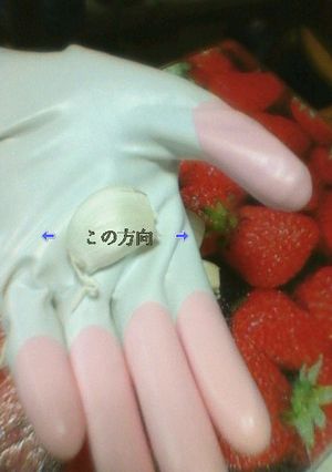 ★簡単★にんにくの皮剥き-レシピのメイン写真