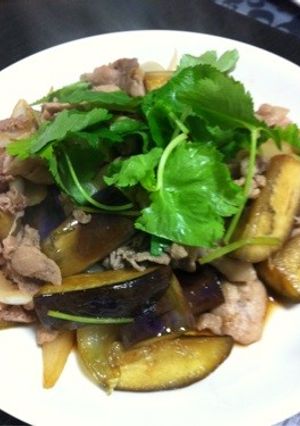 なすと豚肉のエスニック炒め-レシピのメイン写真