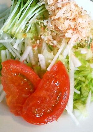 シャキシャキ大根サラダ-レシピのメイン写真