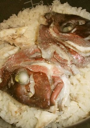 ★鯛めし★-レシピのメイン写真