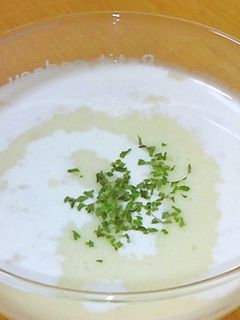 簡単でおいしい*冷製濃厚ビシソワーズ-レシピのメイン写真