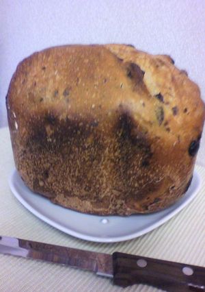 HBdeダブルレーズンフランスパン-レシピのメイン写真