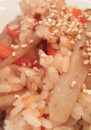 牛蒡を愉しむ☆牛蒡めし-レシピのメイン写真