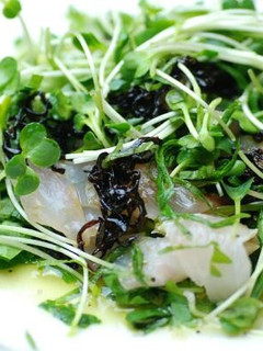 白身魚と塩こんぶのサラダ-レシピのメイン写真