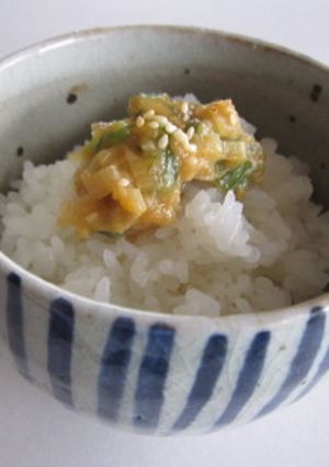 ごはんのお供に！簡単ネギ味噌！-レシピのメイン写真