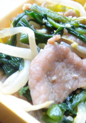 豚肉＆ニラ＆もやしの鶏がら炒め-レシピのメイン写真