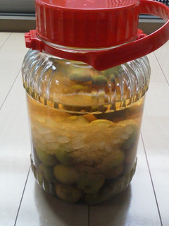 2011 梅酒-レシピのメイン写真