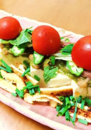 香味野菜と炙りおあげのネバネバ豆腐サラダ-レシピのメイン写真