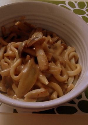 豆乳のカレーうどんﾍ(￣ー￣)ﾉ-レシピのメイン写真
