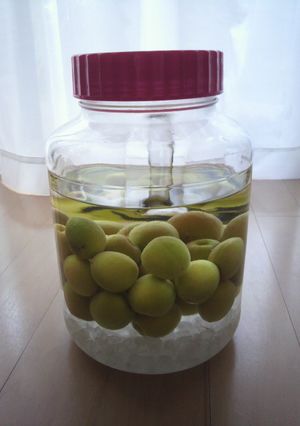 ★2011　南高梅酒★-レシピのメイン写真