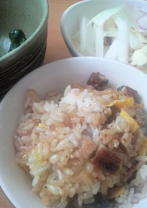 簡単☆うなたまご飯-レシピのメイン写真