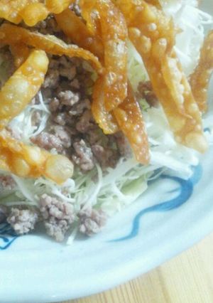 お酢で食べよ！キャベツとパリパリのサラダ-レシピのメイン写真