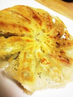 羽根付き餃子の作り方-レシピのメイン写真