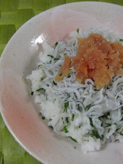 明太しらす丼-レシピのメイン写真