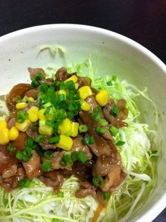 食欲UP♪♪豚肉の照り焼き丼-レシピのメイン写真