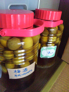 梅酒備忘録-レシピのメイン写真