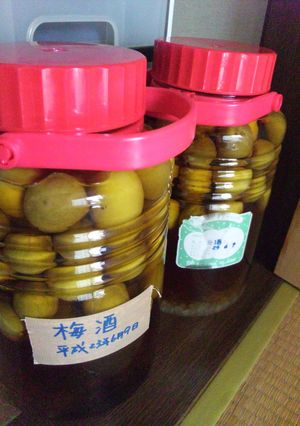 梅酒備忘録-レシピのメイン写真