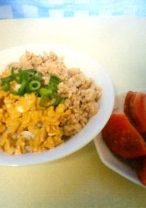 1人分 シリコンスチーマーでそぼろ丼-レシピのメイン写真