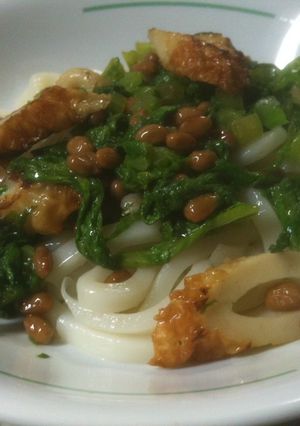 ワサビ菜と納豆のあげうどん-レシピのメイン写真