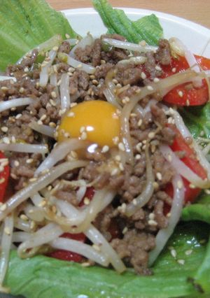 激安!もやしひき肉丼-レシピのメイン写真