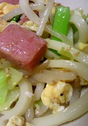 野菜たっぷりの塩焼きうどん-レシピのメイン写真