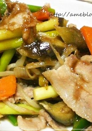 野菜たっぷり豚のスタミナ焼き-レシピのメイン写真