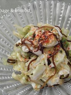 キャベツと塩こんぶの浅漬け-レシピのメイン写真