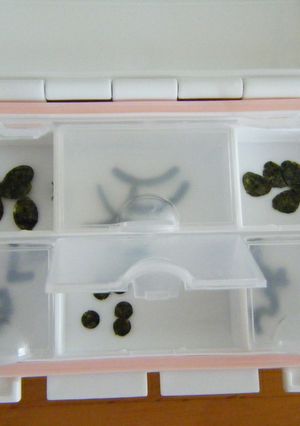 キャラ弁♪楽ちん☆海苔の保存-レシピのメイン写真