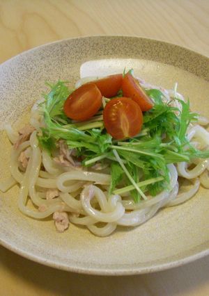簡単ヘルシー!お手軽サラダうどん-レシピのメイン写真