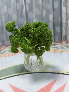 パセリを新鮮に長持ちさせる方法-レシピのメイン写真