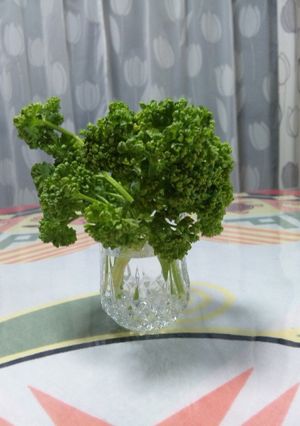 パセリを新鮮に長持ちさせる方法-レシピのメイン写真