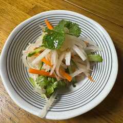 A picture of タイ風シャキシャキ大根ソムタム.