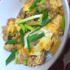 玉ねぎが主役！？親子丼☆-レシピのメイン写真