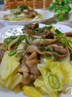 白菜と豚肉の炒めもの-レシピのメイン写真