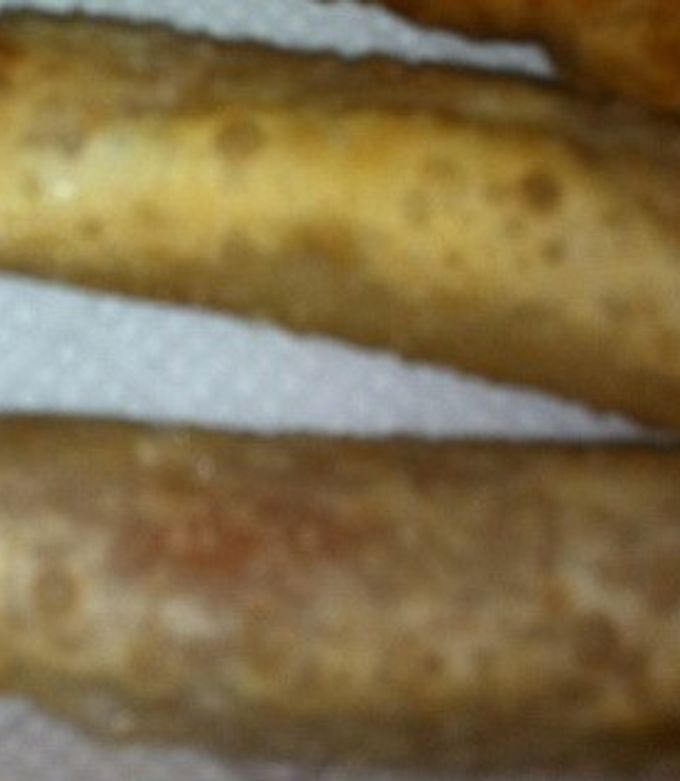 余った餃子の皮でウィンナー揚げ-レシピのメイン写真