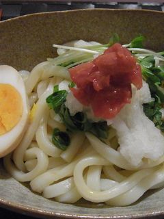 さっぱり!梅ぶっかけうどん!-レシピのメイン写真