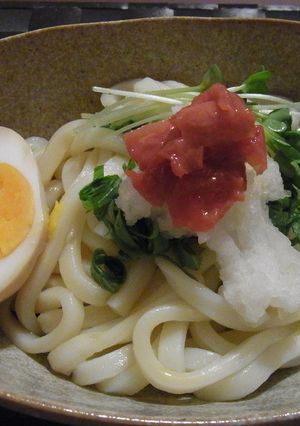 さっぱり！梅ぶっかけうどん！-レシピのメイン写真