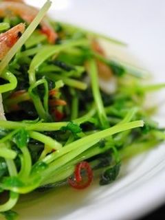 豆苗の中華風炒め-レシピのメイン写真