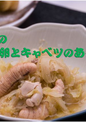 キャベツとイサキの卵と白子の煮物-レシピのメイン写真
