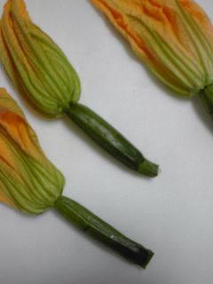 ズッキーニの花と実の天ぷら-レシピのメイン写真